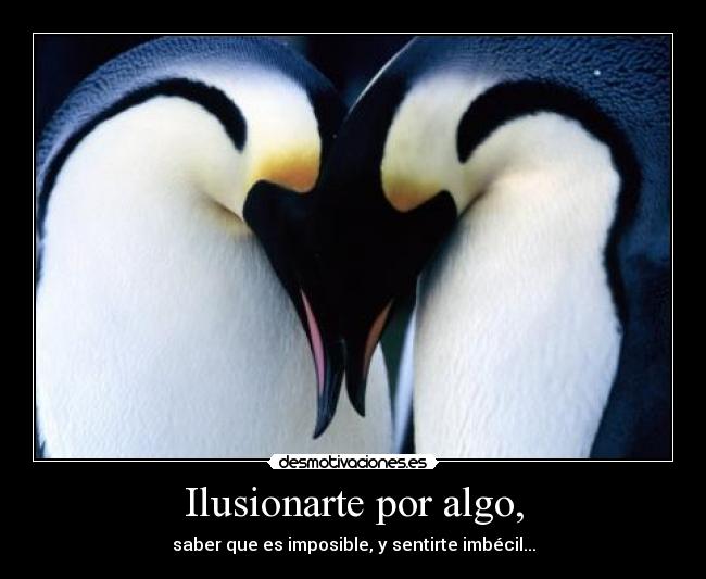 Ilusionarte por algo, - saber que es imposible, y sentirte imbécil...