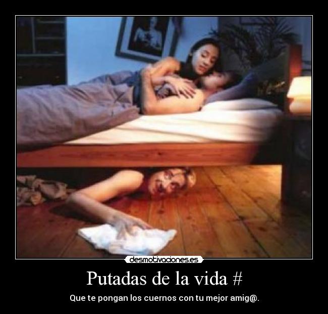 carteles vida putadas vida desmotivaciones