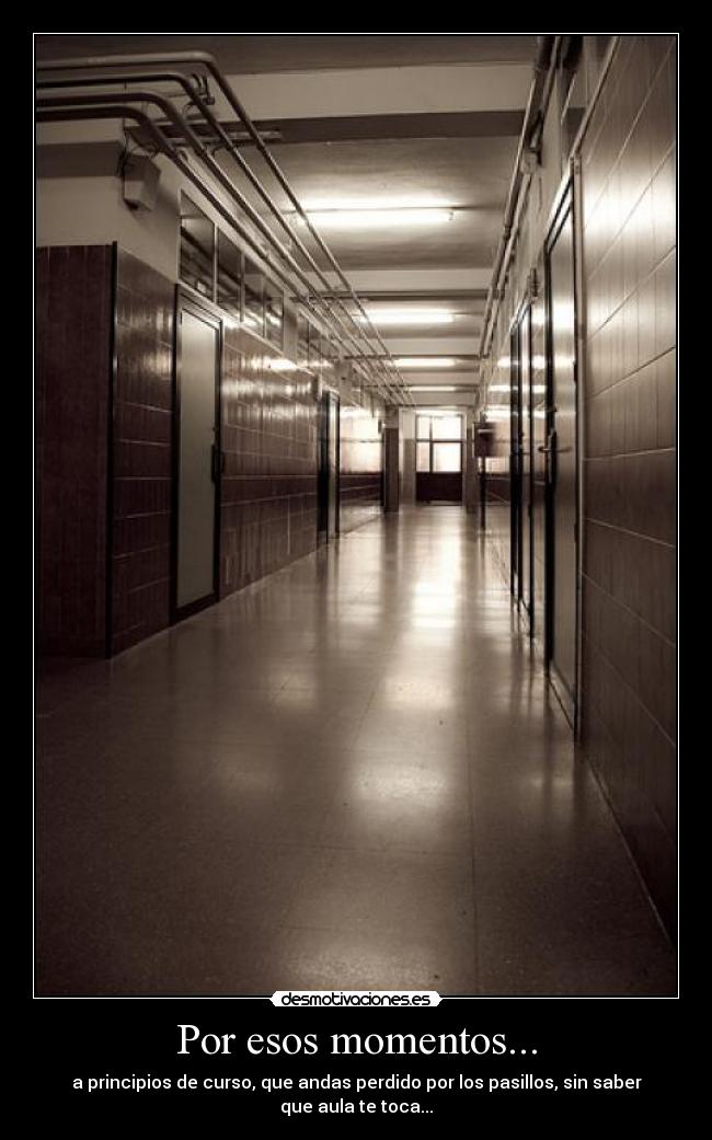 carteles lokaaa desmotivaciones