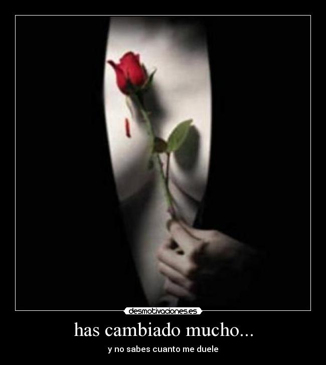 has cambiado mucho... - y no sabes cuanto me duele