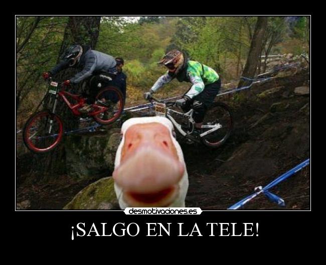 ¡SALGO EN LA TELE! - 