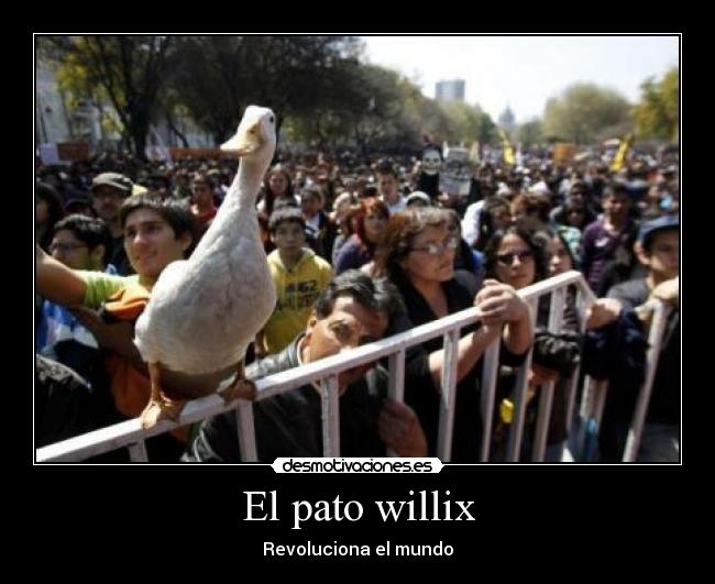 El pato willix - Revoluciona el mundo