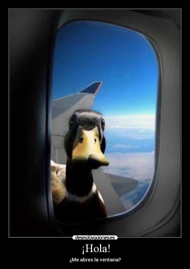 ¡Hola! - ¿Me abres la ventana?