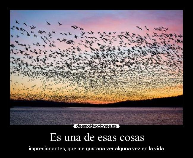 Es una de esas cosas - 