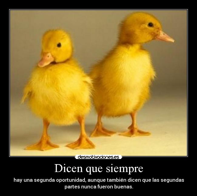 Dicen que siempre - hay una segunda oportunidad, aunque también dicen que las segundas
partes nunca fueron buenas.