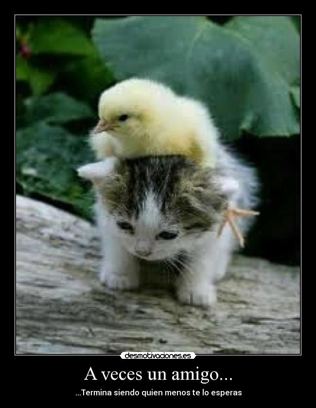 A veces un amigo... - 