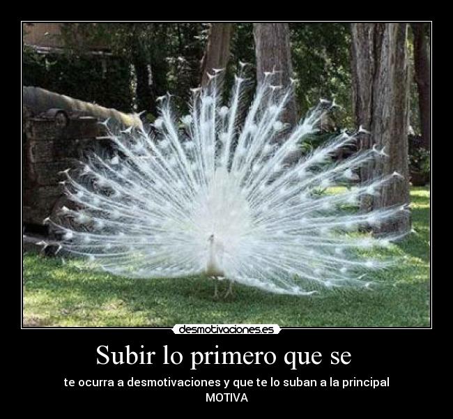 Subir lo primero que se -