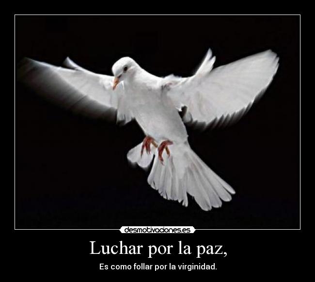 Luchar por la paz, -