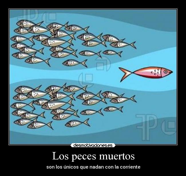 Los peces muertos - son los únicos que nadan con la corriente