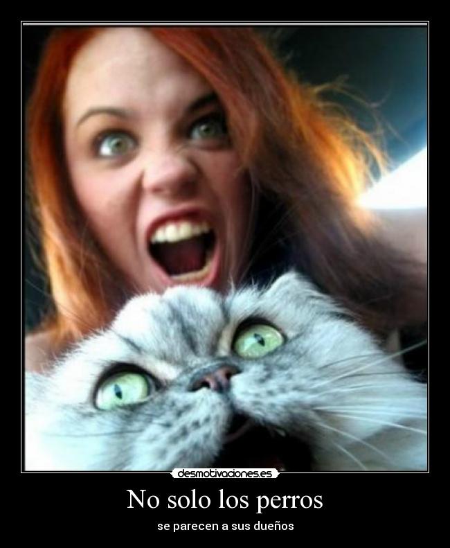 No solo los perros - se parecen a sus dueños