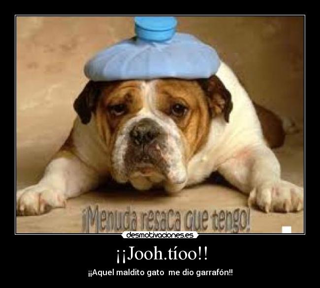 carteles pajillerobrazofuerte desmotivaciones