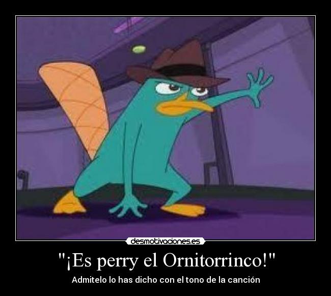 carteles perry ornitorrinco phineas ferb cancion tono desmotivaciones