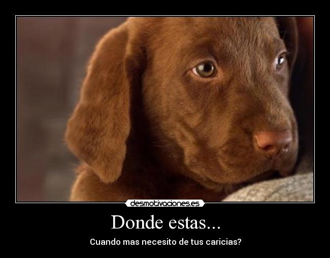 Donde estas... -