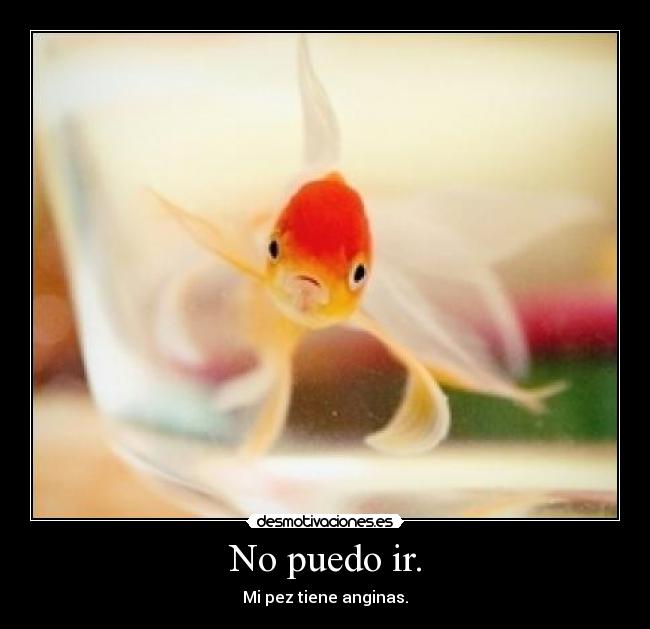 No puedo ir. - Mi pez tiene anginas.