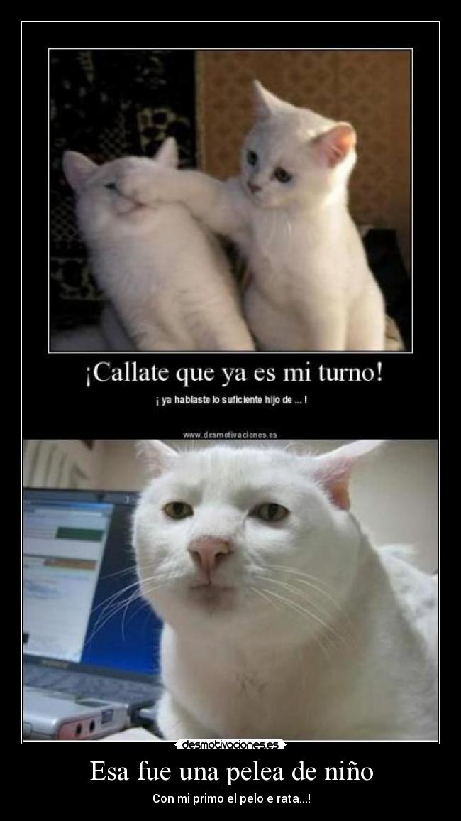 Esa fue una pelea de niño - Con mi primo el pelo e rata...!