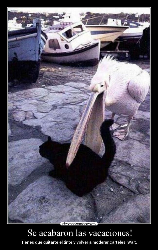 Se acabaron las vacaciones! - Tienes que quitarte el tinte y volver a moderar carteles, Walt.