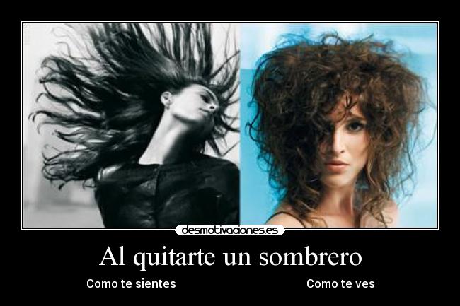 carteles pelos desmotivaciones