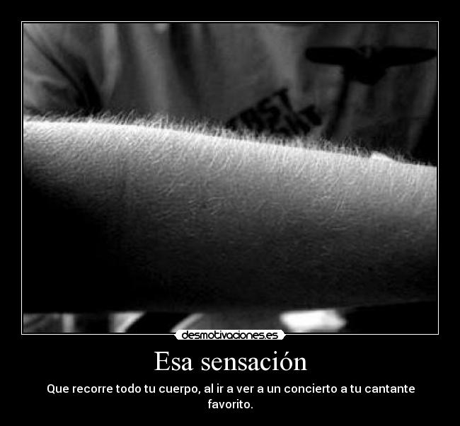 Esa sensación - Que recorre todo tu cuerpo, al ir a ver a un concierto a tu cantante favorito.