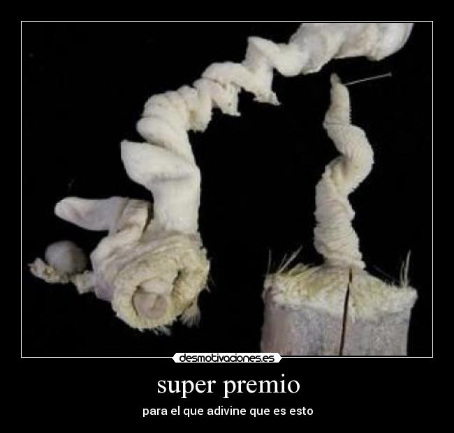 super premio - 