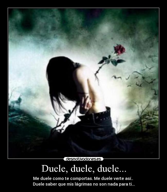 Duele, duele, duele... - Me duele como te comportas. Me duele verte así.. 
Duele saber que mis lágrimas no son nada para ti...