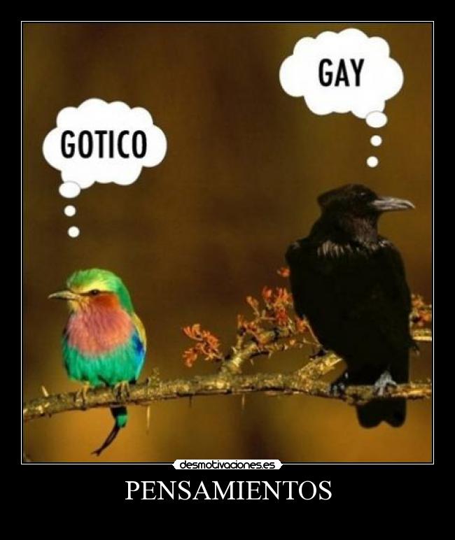 PENSAMIENTOS -