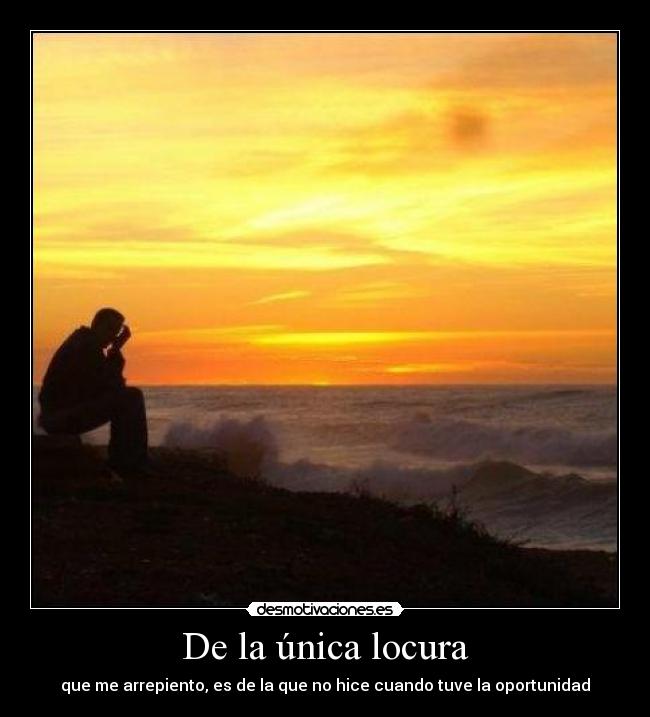 carteles locura locura desmotivaciones