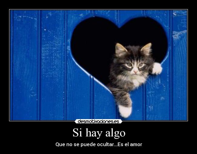 Si hay algo - 