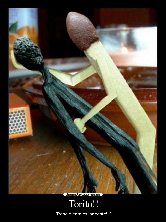 Torito!! - Pepe el toro es inocente!!!