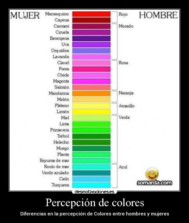 Percepción de colores -