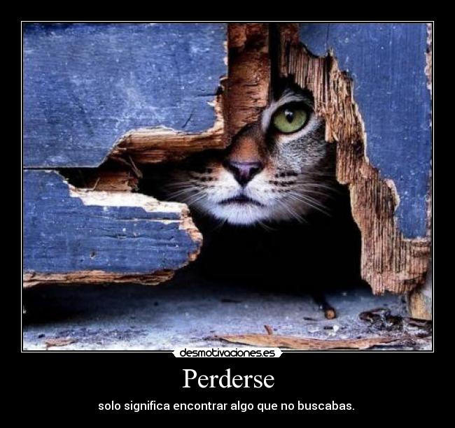 Perderse -