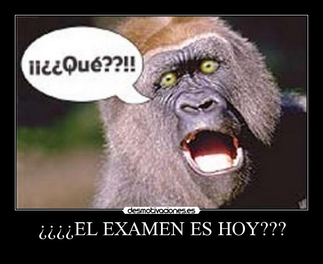 ¿¿¿¿EL EXAMEN ES HOY??? -
