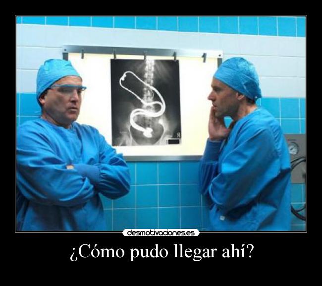 ¿Cómo pudo llegar ahí? - 