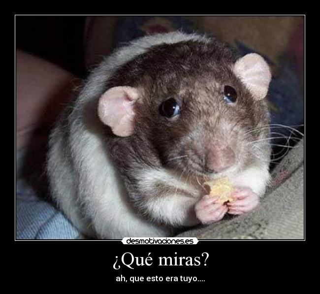 ¿Qué miras? - ah, que esto era tuyo....