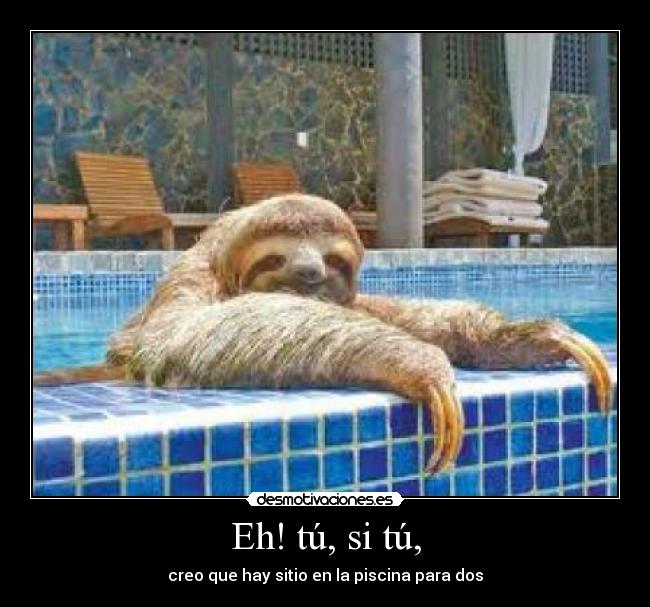 Eh! tú, si tú, - creo que hay sitio en la piscina para dos
