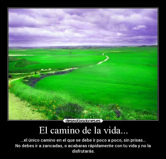 El camino de la vida... -