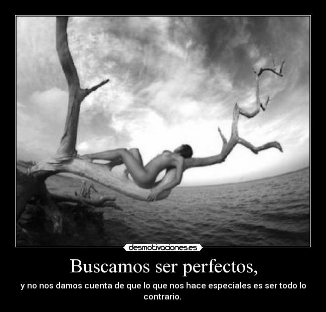 carteles perfeccion desmotivaciones
