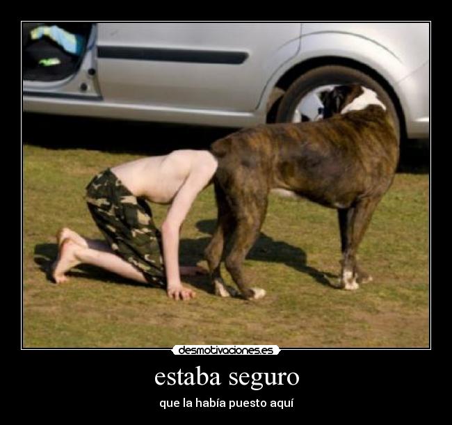 estaba seguro -