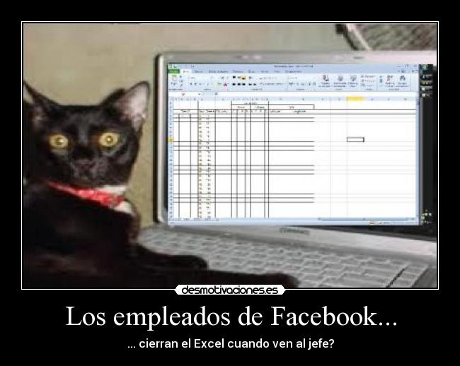 carteles facebook facebook empleados excel computadora jefe pillado tetas desmotivaciones