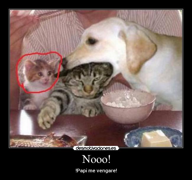 Nooo! - 