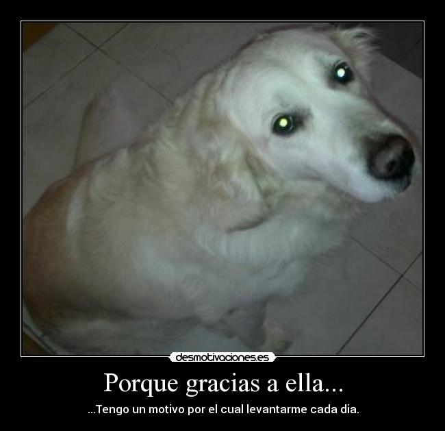 Porque gracias a ella... - ...Tengo un motivo por el cual levantarme cada dia.