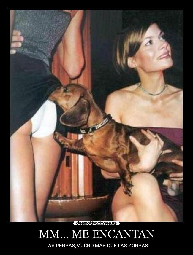 MM... ME ENCANTAN - LAS PERRAS,MUCHO MAS QUE LAS ZORRAS
