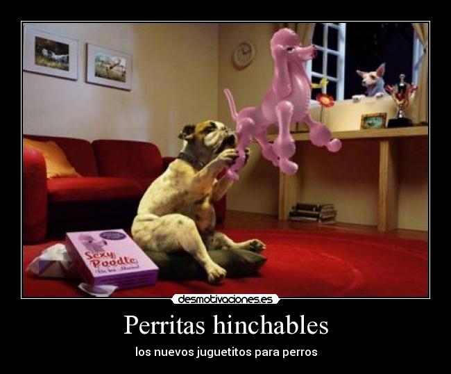 Perritas hinchables - los nuevos juguetitos para perros