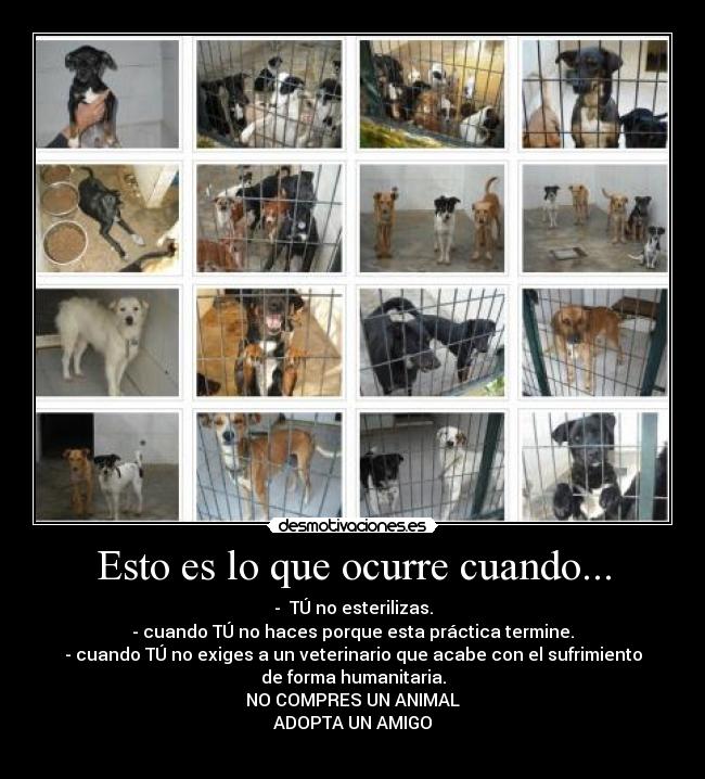 Esto es lo que ocurre cuando... -