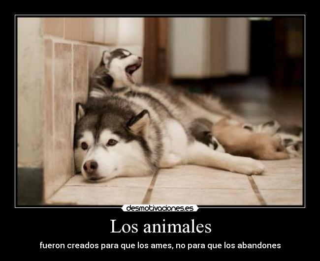 Los animales -