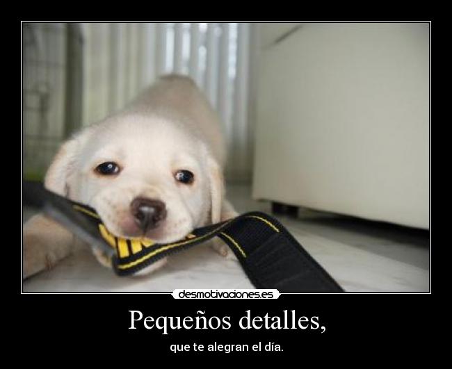 Pequeños detalles, -