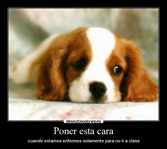 Poner esta cara - cuando estamos enfermos solamente para no ir a clase