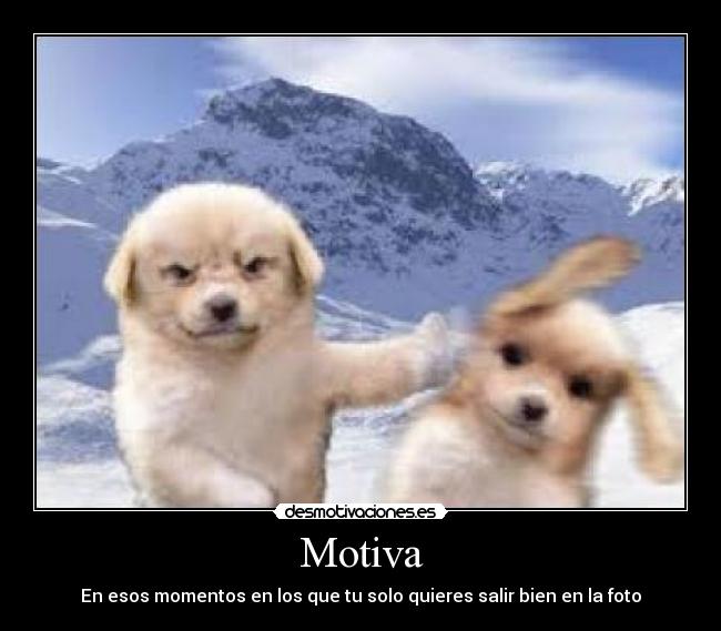 Motiva -