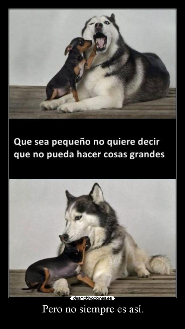 Pero no siempre es así. - 