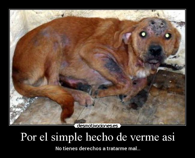 Por el simple hecho de verme asi - No tienes derechos a tratarme mal...