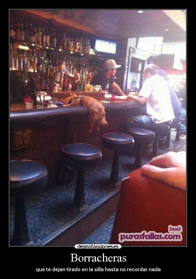Borracheras -